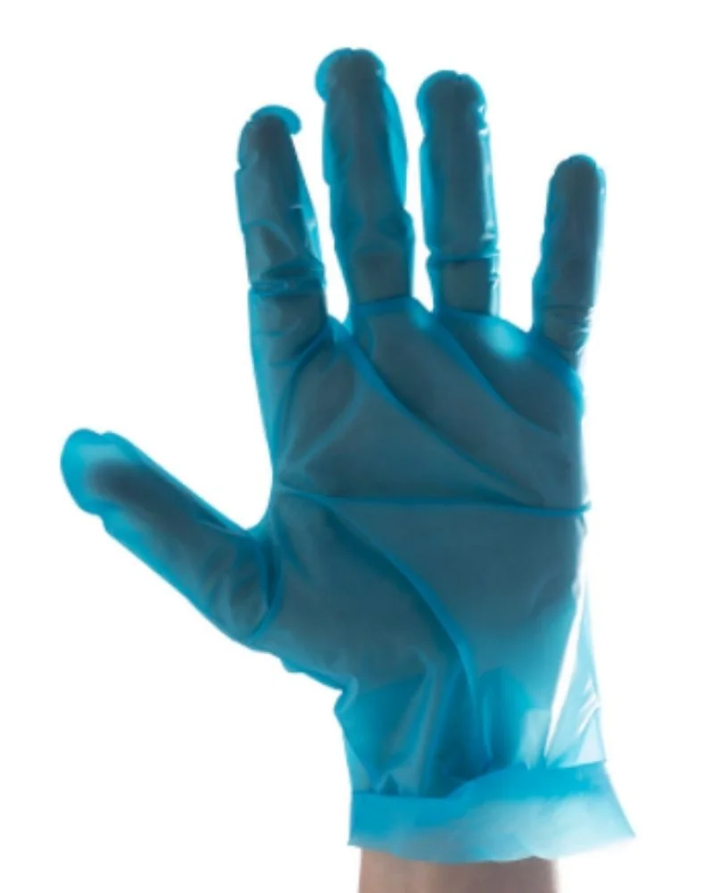 TPE Disposable Deli Gloves (Blue / Clear) - 1 Box (200 gloves)