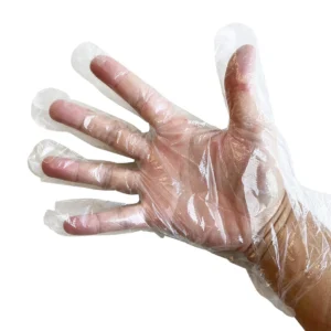 Disposable Deli Gloves (Clear) - 1 Packet (100 gloves)